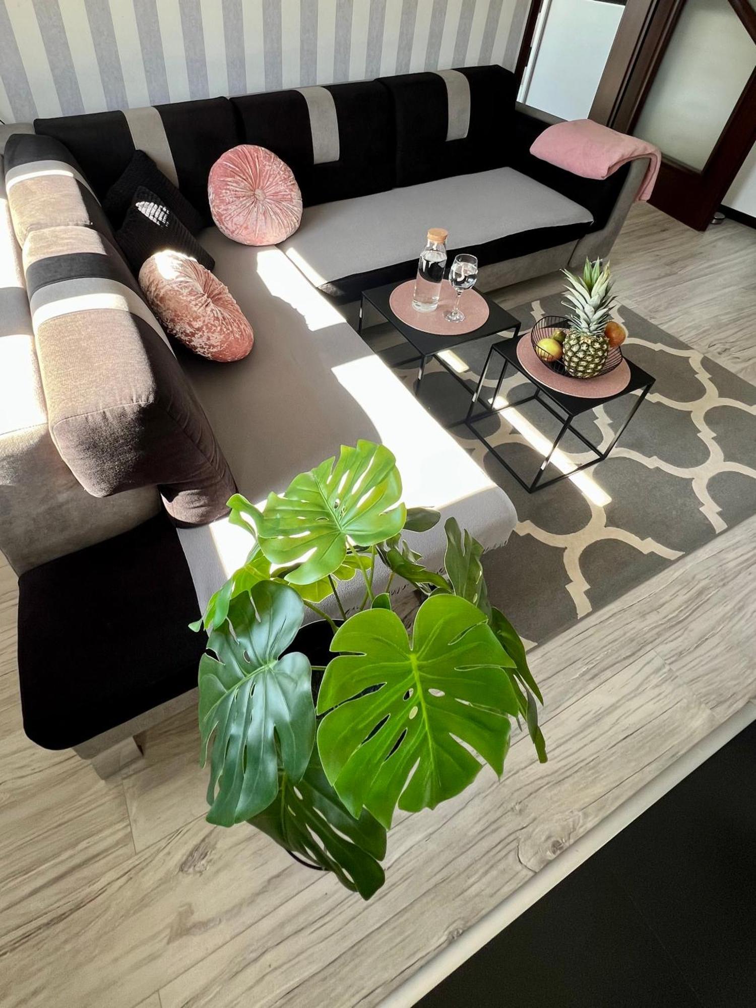 Spółdzielcza 22 Apartament Sky Line Kłodzko Zewnętrze zdjęcie